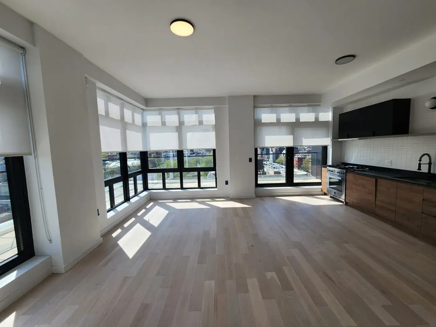 Roller Shades - example 9